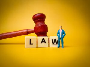 Labor Law Basics: Understanding the Foundations of Employment and Worker Rights